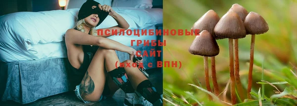 метадон Арсеньев