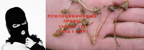 амф Армянск