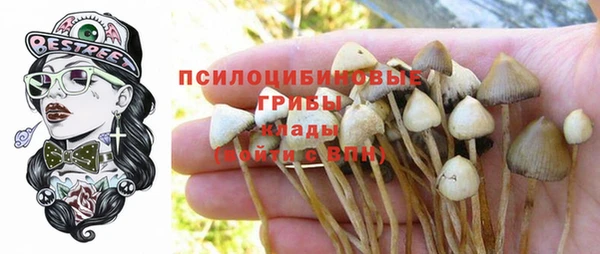 метадон Арсеньев